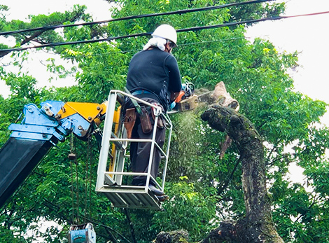桜ヶ池クエスト クエストイベント